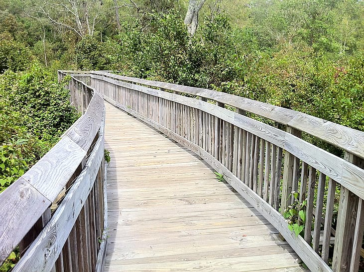 Connecticut: Hollow Park, Woodbury
