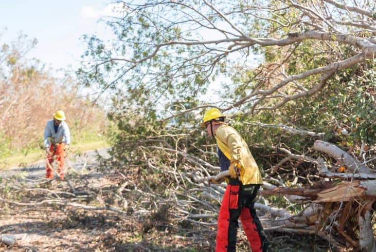 11. Wear protective gear for cleanup