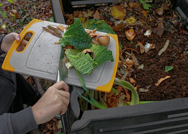 A person scraping vegetable scraps from a cutting board into a compost bin outdoors. The scraps include leafy greens, onion peels and eggshells.