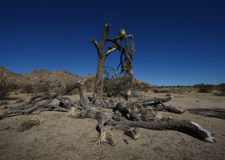 #81. West/Northeast/Southeast drought (2016)