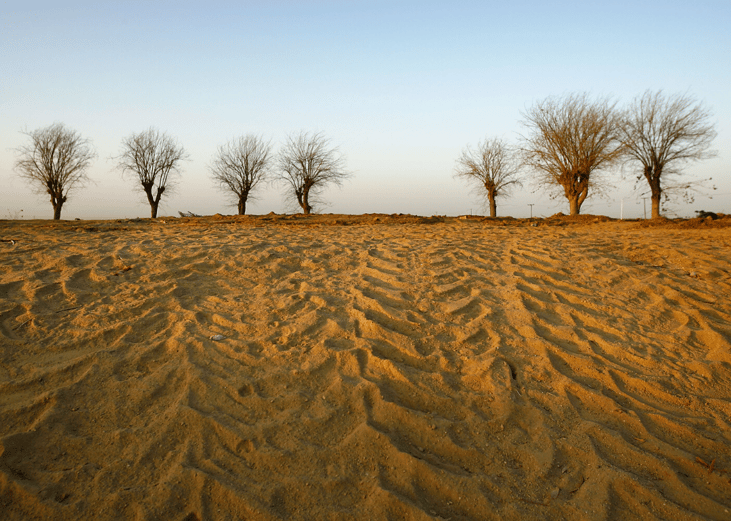 #69. Western/Eastern drought/heat wave (2007)