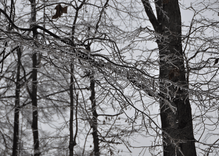 #58. Southeast ice storm (1994)