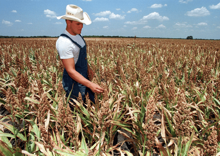 #56. Southern drought/heat wave (1998)