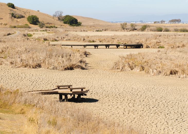 #45. Western/Central/Southeast drought/heat wave (2000)