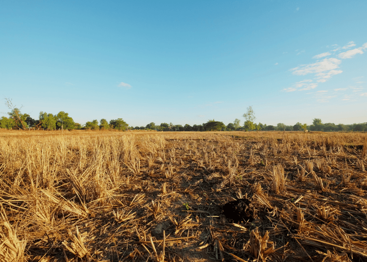 #28. Western/plains drought and heat wave (2013)