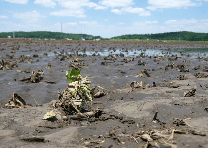 #26. Midwest flooding (2008)