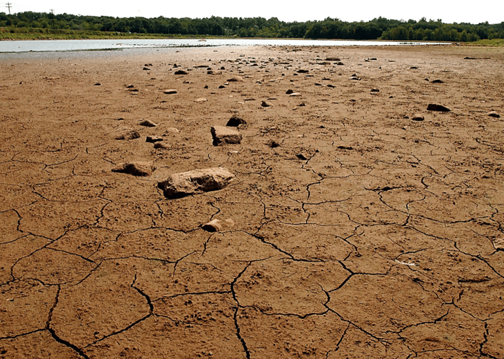 #24. U.S. drought (2002)