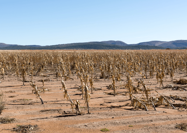 #22. Southern Plains/Southwest drought and heat wave (2011)
