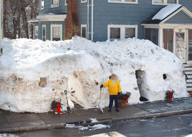 #93. Central and Eastern winter storm, cold wave (2015)