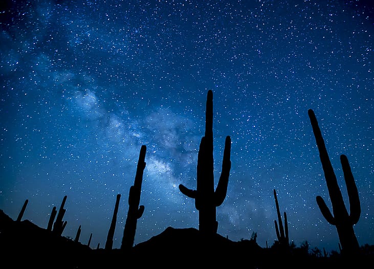 #37. New Mexico