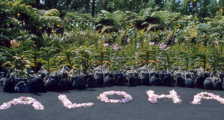 Nickname: The Aloha State