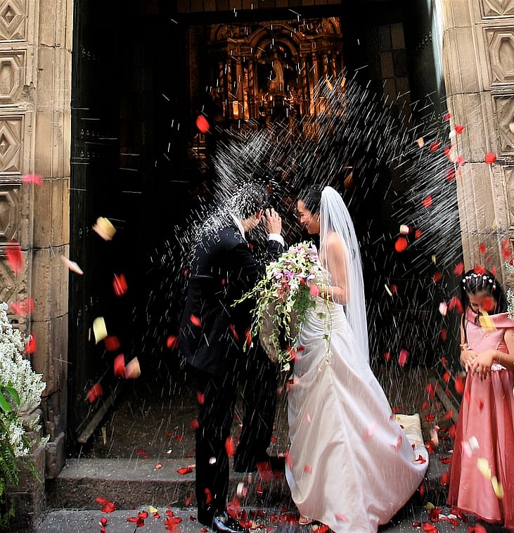 Wedding rice makes birds explode