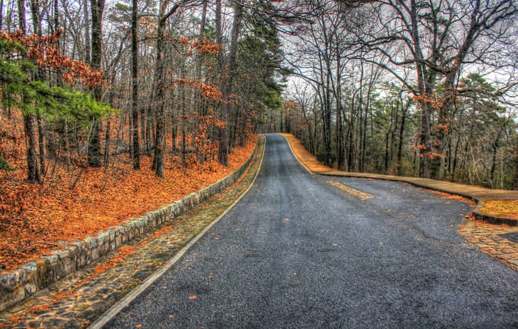 #25. Arkansas