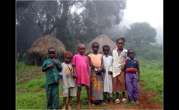 Guinea: Employment opportunities