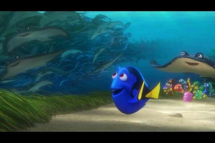 #39. Finding Dory