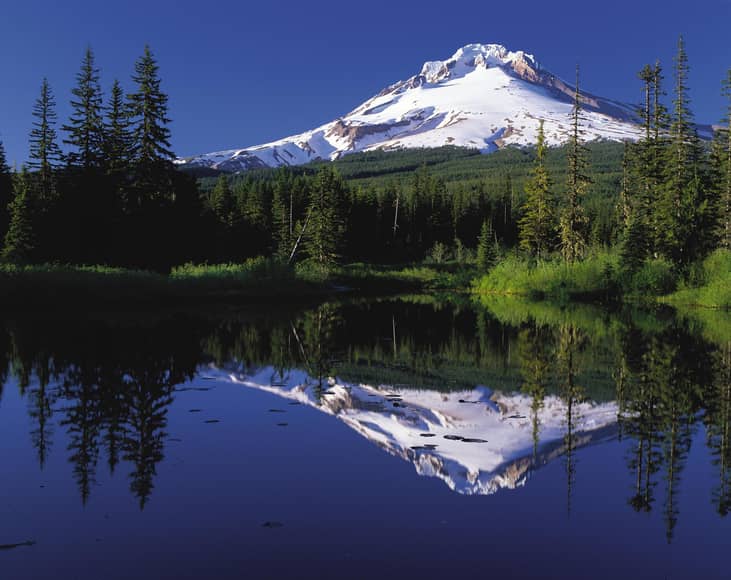 State: Oregon