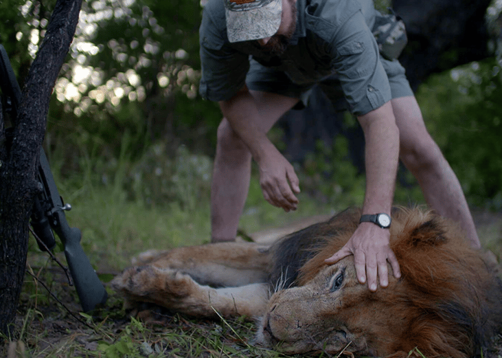#96. Trophy (2017)