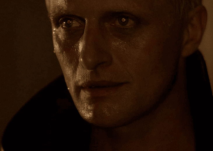 #52. Blade Runner (1982) (tie)