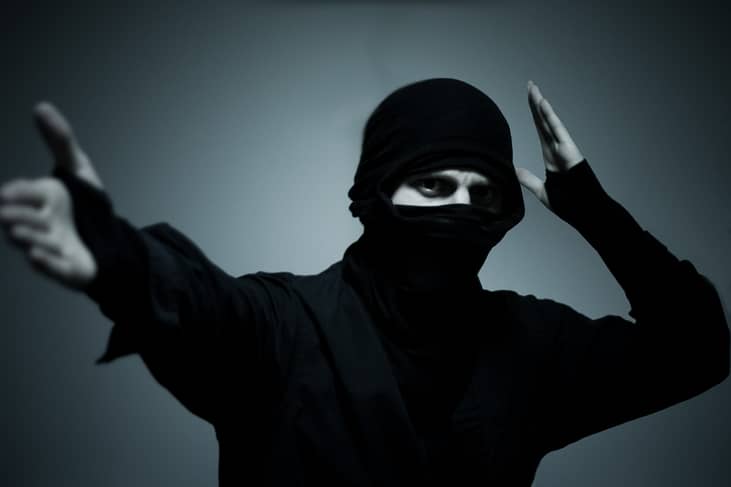 #49. December 5: Day of the Ninja