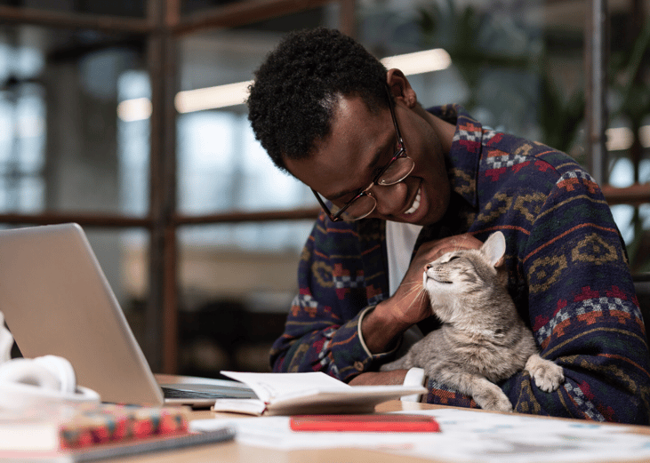 Create a pet dossier