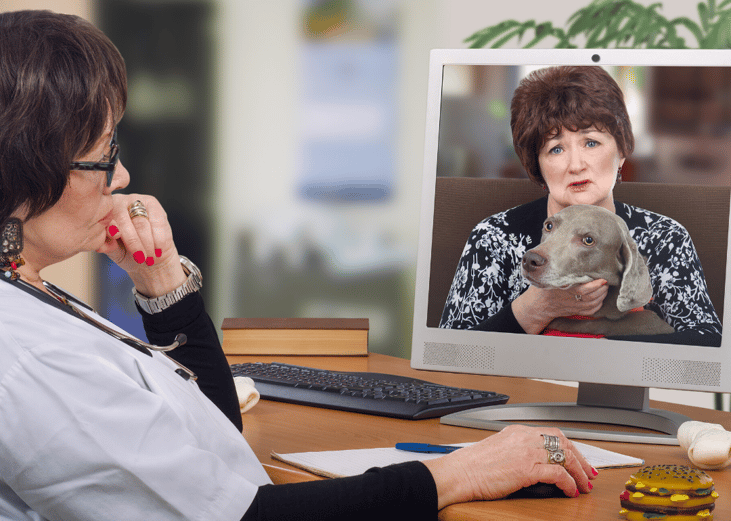 Schedule a telehealth visit