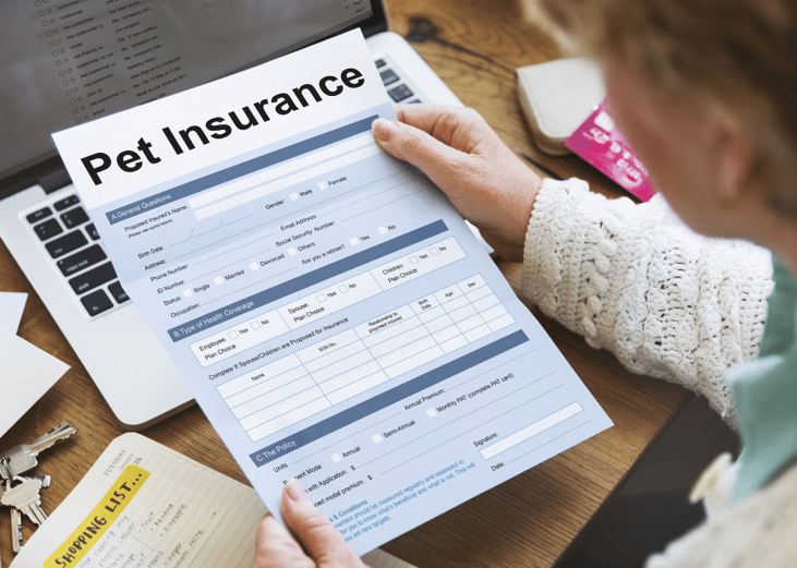Reconsider pet insurance