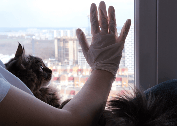 Take precautions if you're sick at home