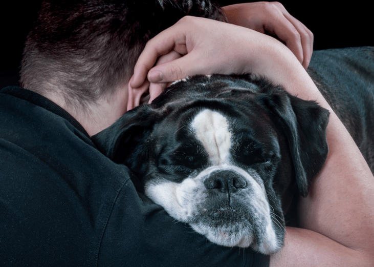 If you're stuck, look into temporary foster-care help