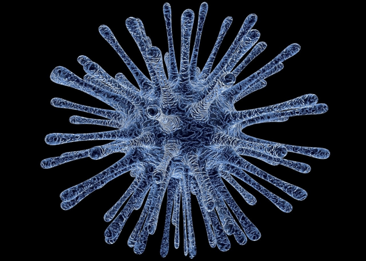 Virus