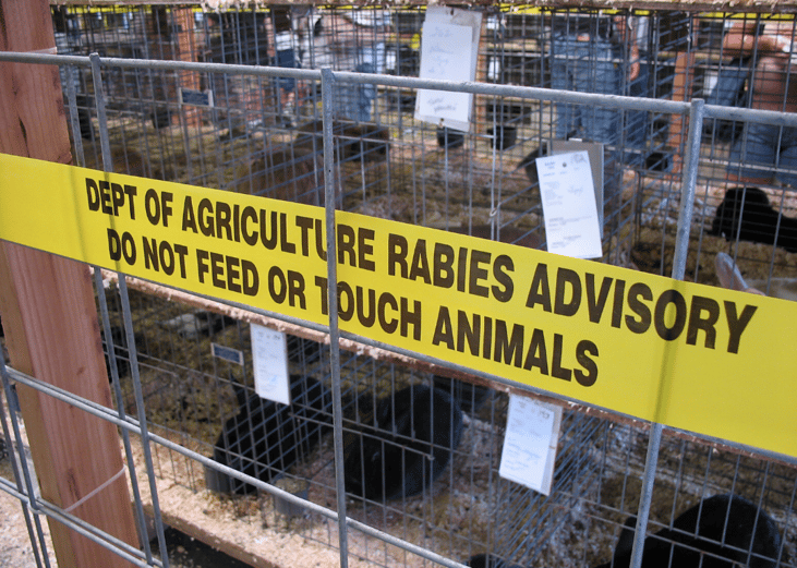 Zoonosis