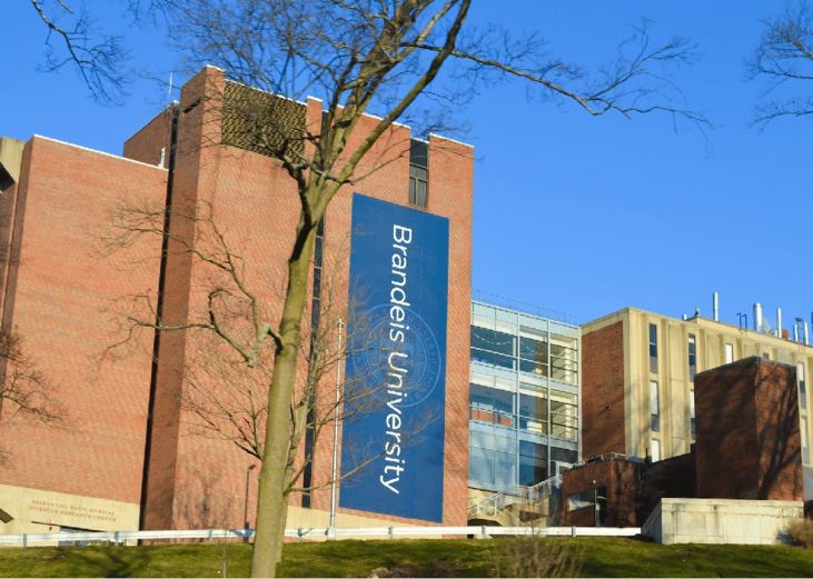 #50. Brandeis University
