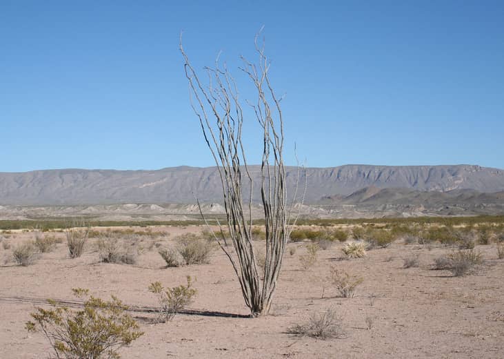 Texas: Brewster County
