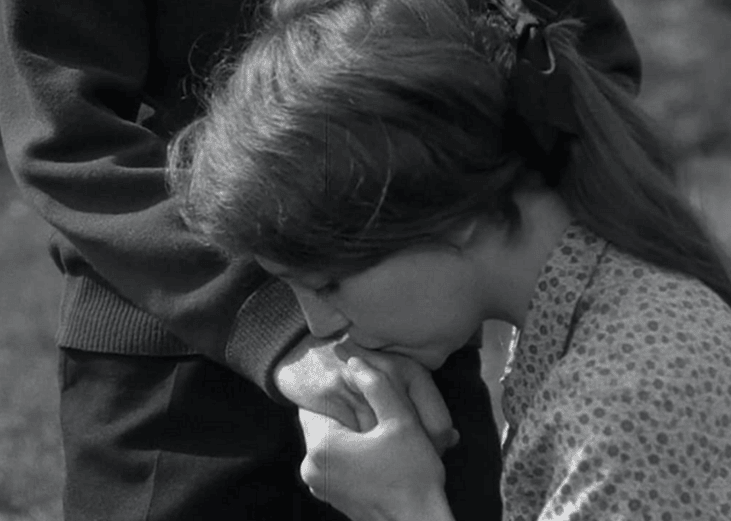 #6. Au Hasard Balthazar (1966)