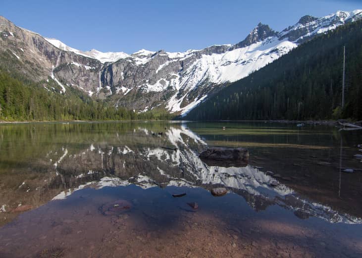 #11. Montana