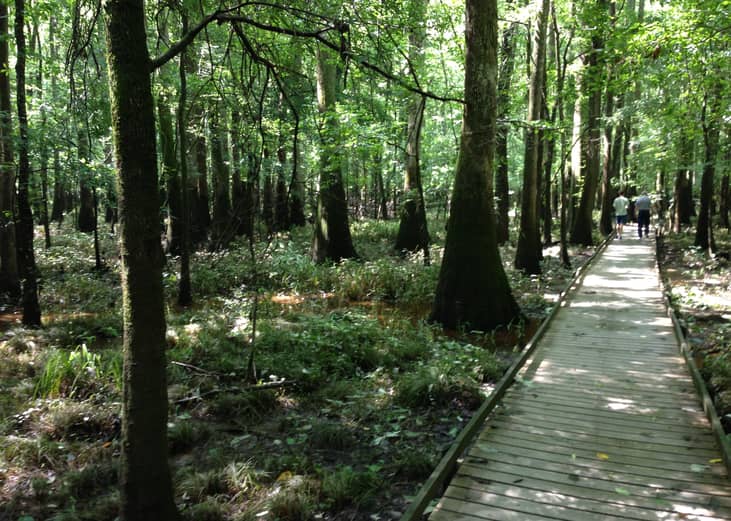 #30. South Carolina