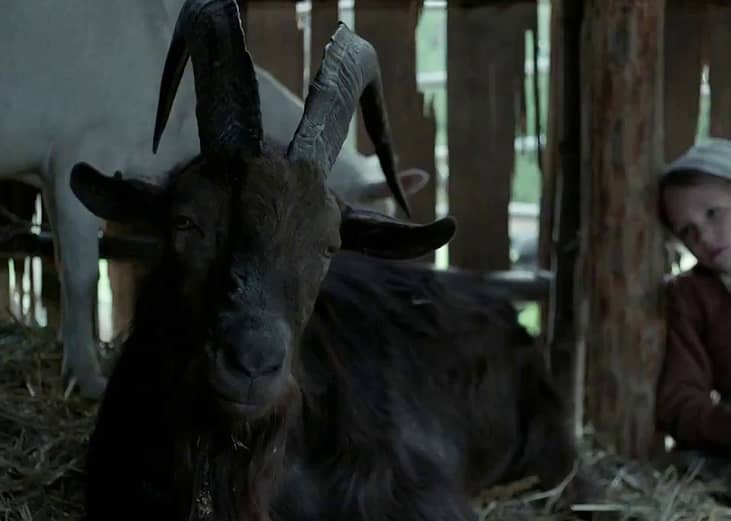 The Witch (2015)