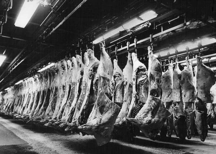 1970s: Rise of factory farming