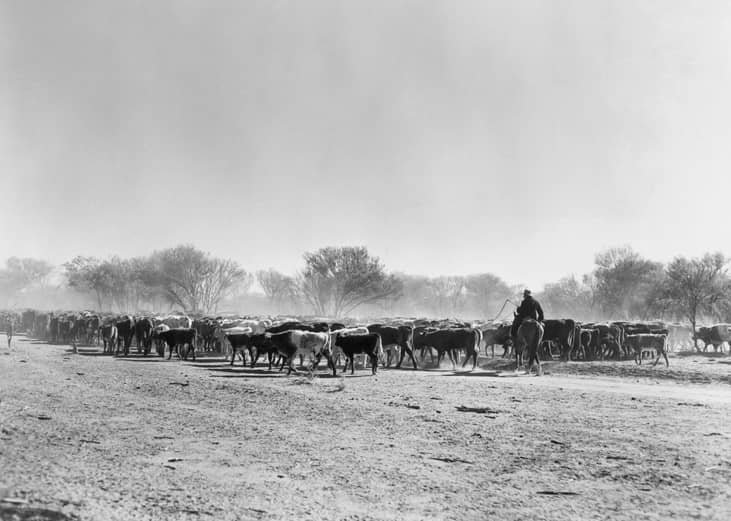 1898: National Live Stock Growers Association