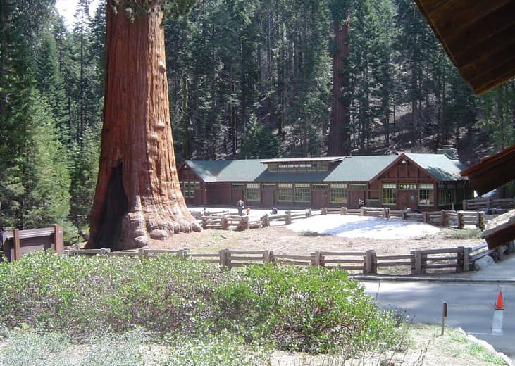 #7. California