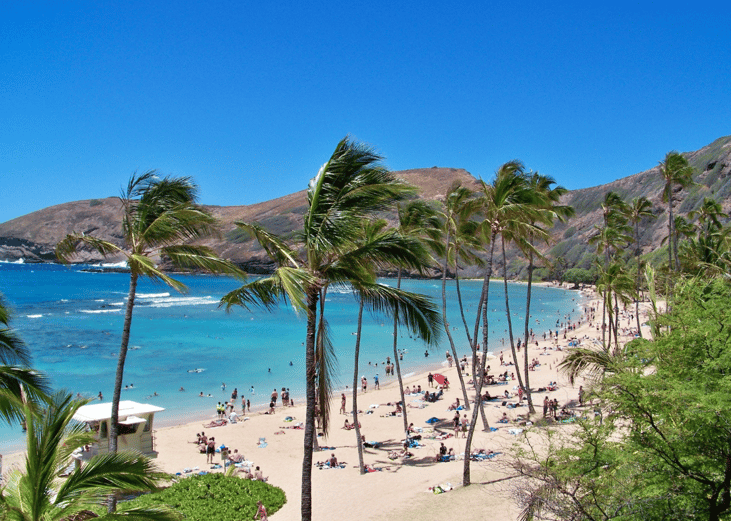 People at the beach in Hawaii.