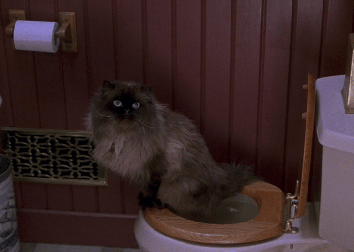 Meet the Parents (2000)
