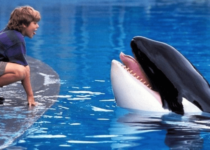 Free Willy (1993)