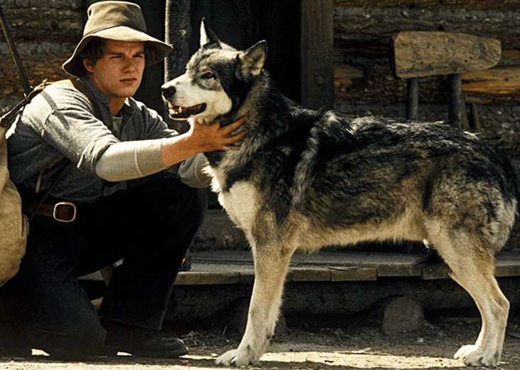 White Fang (1991)