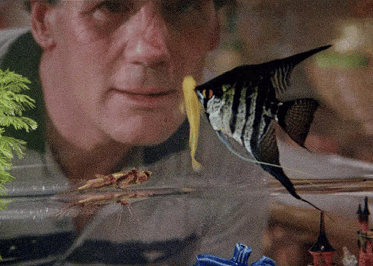 A Fish Called Wanda (1988)