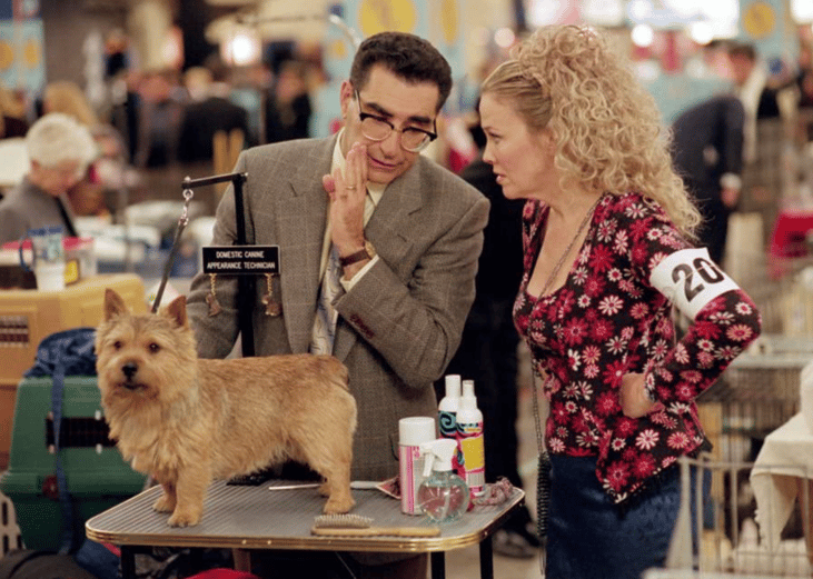 Best in Show (2000)