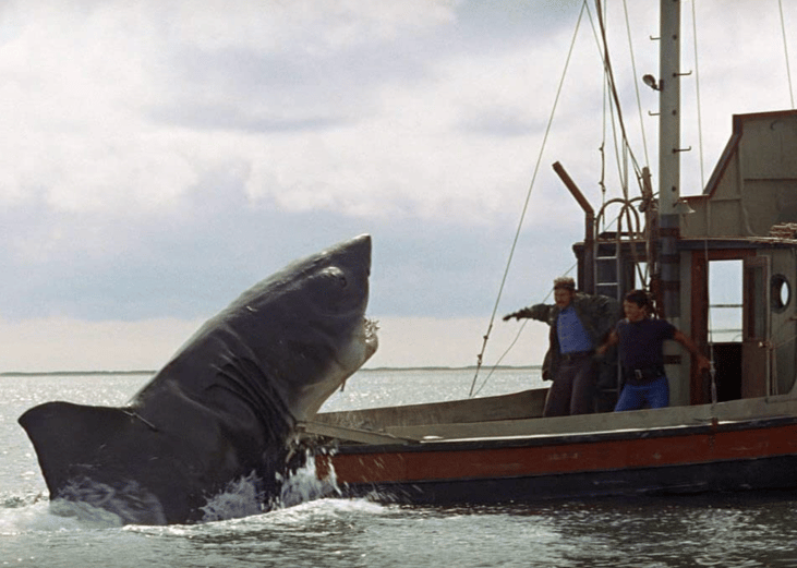 Jaws