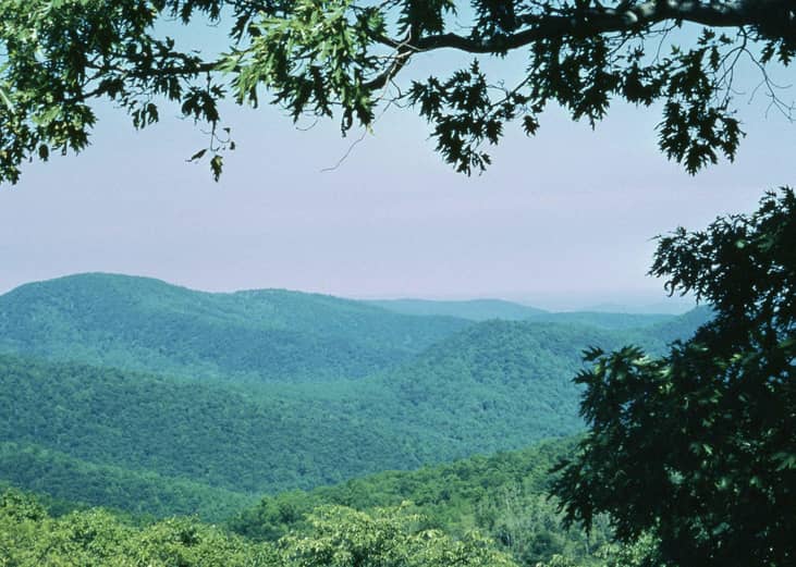 #19. Virginia