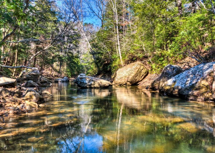 #36. Alabama