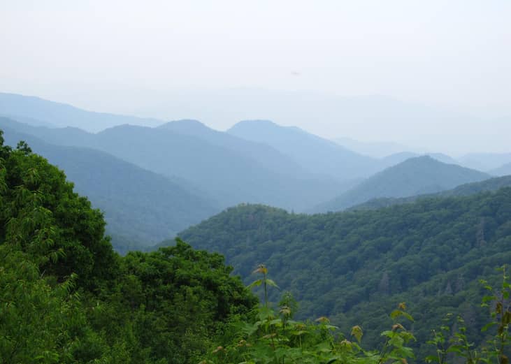 #21. North Carolina