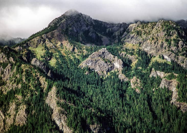 #12. Washington